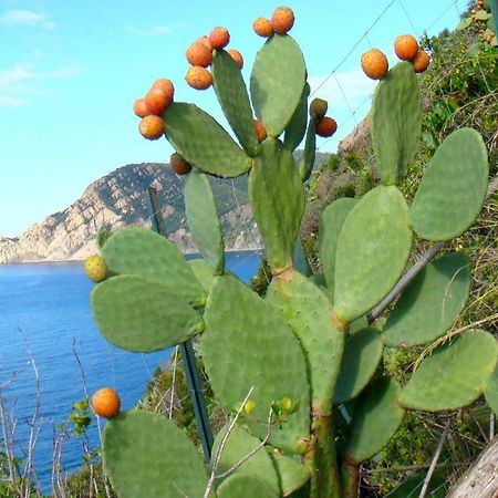 Casa Vacanze Zia Maria Leilighet Vernazza Eksteriør bilde