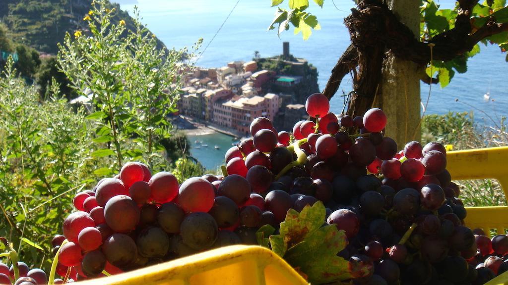 Casa Vacanze Zia Maria Leilighet Vernazza Rom bilde